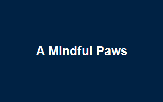A Mindful Paws
